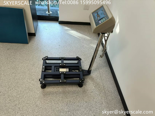 Balança de banco de plataforma de 300 kg Conecte computador com Rs232