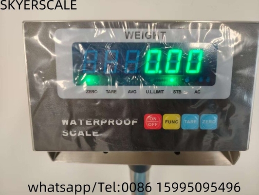 Balanças de plataforma de aço inoxidável impermeáveis Balança Inox 200kg