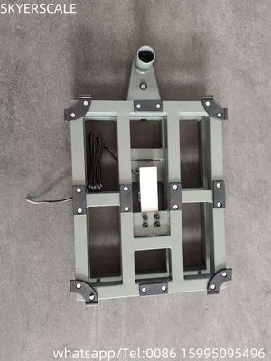 100kg 300x400mm Electronic Digital Retail Bench Scale Carbon Steel Platform LED ZEMIC Load Cell OEM ODM Personalizado