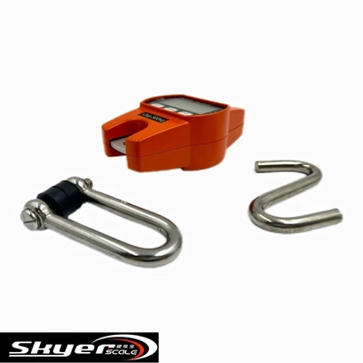 Balança de guindaste digital de 300kg com visor LED LCD