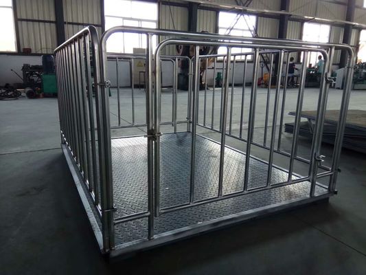 Escala dos rebanhos animais do aço carbono 1t 2t 3t, escalas de peso do gado para carneiros da vaca do porco do cavalo com a cerca galvanizada quente