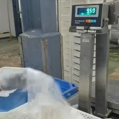 Balança de bancada à prova d'água em aço inoxidável 304 de 30x40cm   100kg