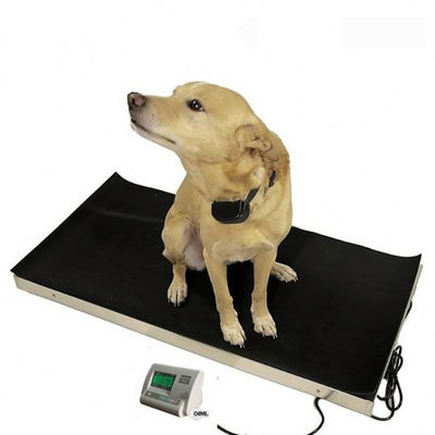 Escala animal do peso de Digitas da precisão do diodo emissor de luz 60kg